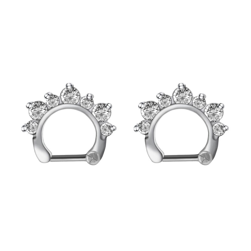 Arardo 2Pcs 20G 316L Stainless Steel CZ Nose Rings Piercing Jewelry AB0003-1