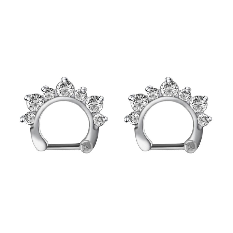 Arardo 2Pcs 20G 316L Stainless Steel CZ Nose Rings Piercing Jewelry AB0003-1