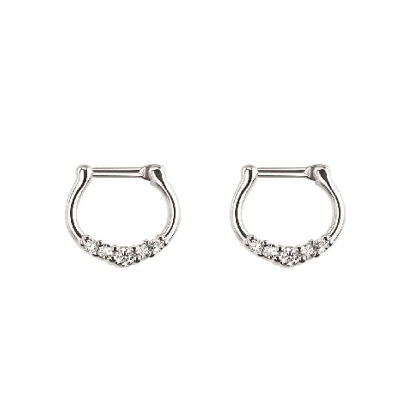 Arardo 2Pcs 20G 316L Stainless Steel CZ Nose Rings Piercing Jewelry AB0003-3