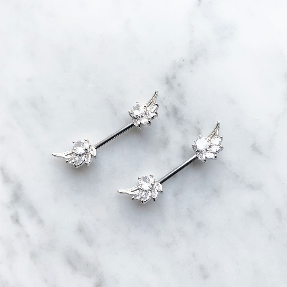 Arardo 316L Stainless Steel Nipple Piercing,High Polished Smooth Surface, Resists Allergy, Wings Silver CZ Nipple Rings Jewelry